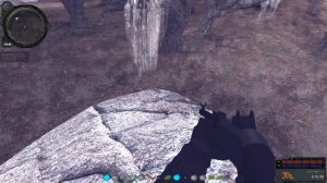 STALKER OП 2.2 LSC  -  АА 12 и  АК 101 Custom  2 места в игре где можно найти это оружие но шанс ма