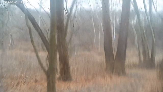 Rock Point Park (Part 6) (2023, 2024). смотреть онлайн