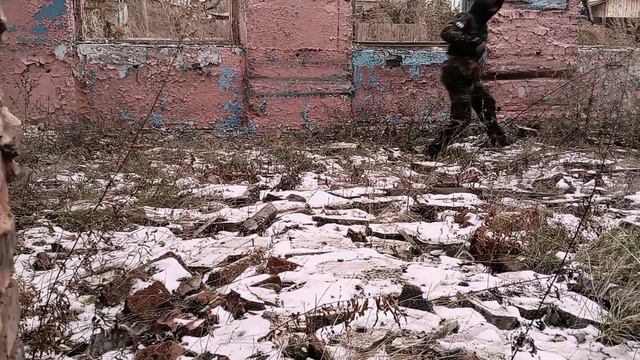 Тайник с сюрпризом
