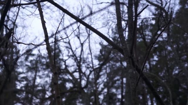 +4 winter смотреть онлайн