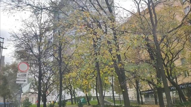 Поезд прибыл на Киевский вокзал. Утро на улицах Москвы и первая встреча. смотреть онлайн