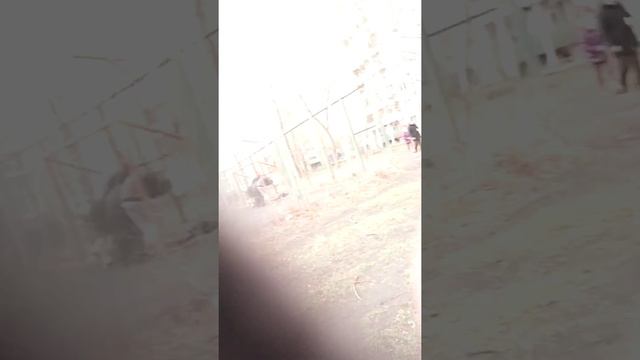 Пацаны гуляли,решили футбол поиграть! смотреть онлайн