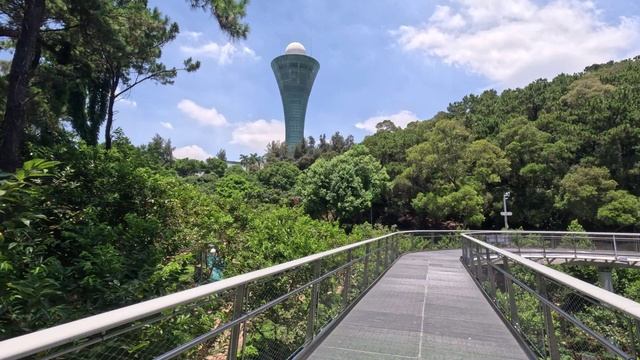 Китай, Сямен (Xiamen), Jul 2024, Huweishan Atmosphere Theme Park, Sea Pearl Tourist Tower смотреть онлайн