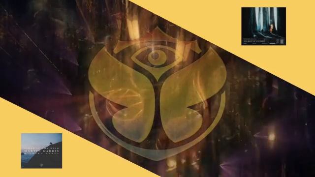 The Rest Of Your Life / Lions In The Wild (Martin Garrix Mashup)[Extended Version] смотреть онлайн