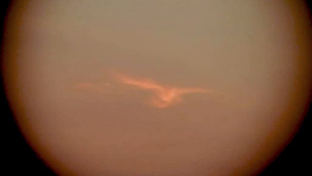 Урядник Бейсенов Алексей о явлении образа голубя в небе Беларусии. Всебелорусский крестный ход. смотреть онлайн