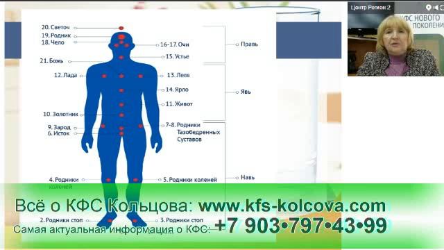 Лузгинова С.В. 2017-05-10 «КФС и чакровая система человека» #кфскольцова смотреть онлайн