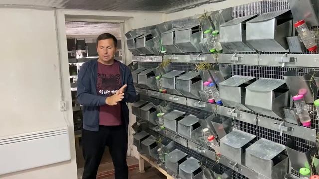 ДЕЗИНФЕКЦИЯ ФЕРМЫ | ШИНШИЛЛОВАЯ ФЕРМА | ФЕРМЫ ШИНШИЛЛ В РОССИИ смотреть онлайн