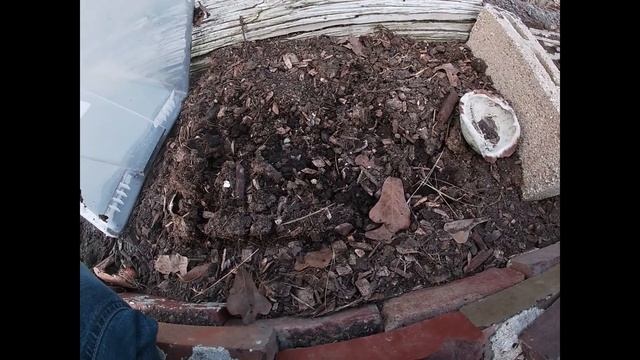 Last Garden update of 2020 смотреть онлайн
