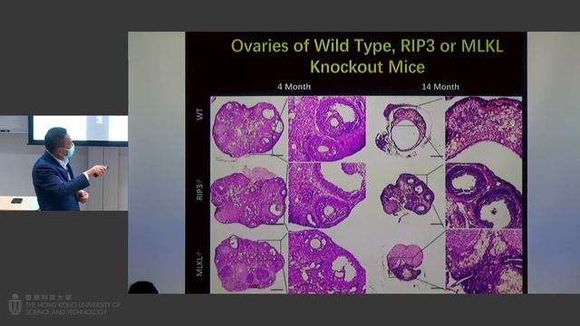 IAS Distinguished Lecture: Prof. WANG Xiaodong (Nov 25, 2022) смотреть онлайн
