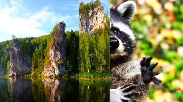 ✔ *АрхиСРОЧНО* «Послание ~ от Ангельской системы !» смотреть онлайн