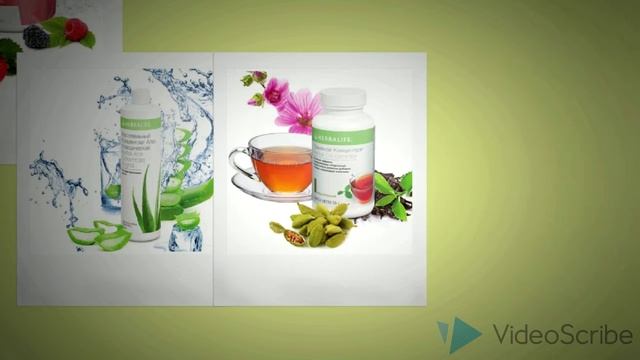 Онлайн курсы по сбалансированному питанию смотреть онлайн