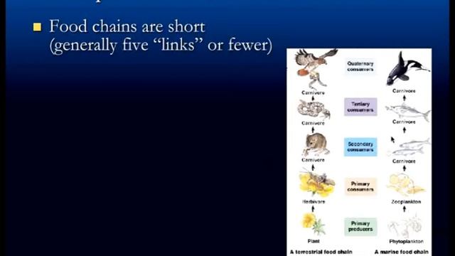 Wed, Sep 14, 12 03 PM ANTHR 1 #2549 PHYSICAL ANTHROPOLOGY смотреть онлайн