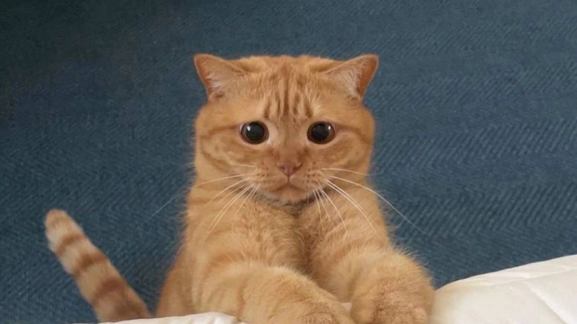 VRising 2024-10-30 20-21-47