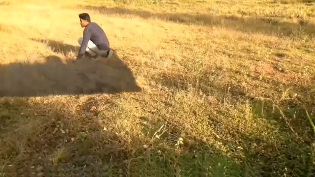 jurasic t rex prey... смотреть онлайн