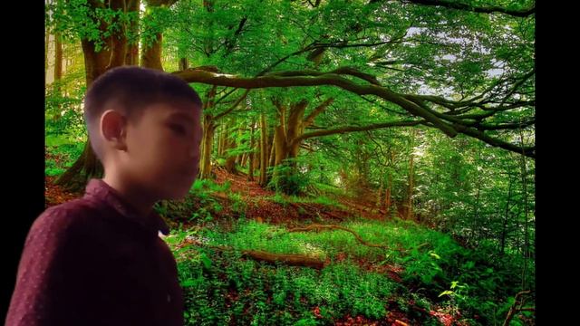 Online Kids Public Speaking - Storytelling