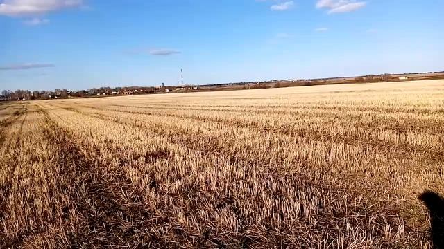 Противоположности притягиваются смотреть онлайн