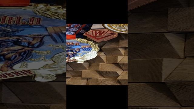 КАК ПРОШЁЛ ЧЕМПИОНАТ МИРА ПО ПАУЭРЛИФТИНГУ WPSO 2024 В БИШКЕКЕ? РУСЛАН ЗАХАРКИН - ЧЕМПИОН МИРА WPSO смотреть онлайн