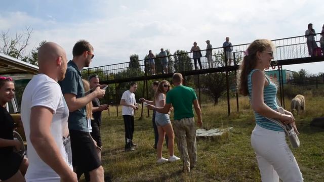 Нас встречает самый главный лев ! смотреть онлайн