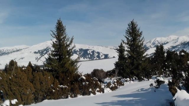 На красивом споте фрирайда выбрал решил проехать по целине ниже и протропил вдоль ручья ;) смотреть онлайн