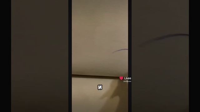 Как убрать ходожества на диване? 🖊️ #faberlic #умкраса #umkrasa #фаберлик #faberlichome смотреть онлайн