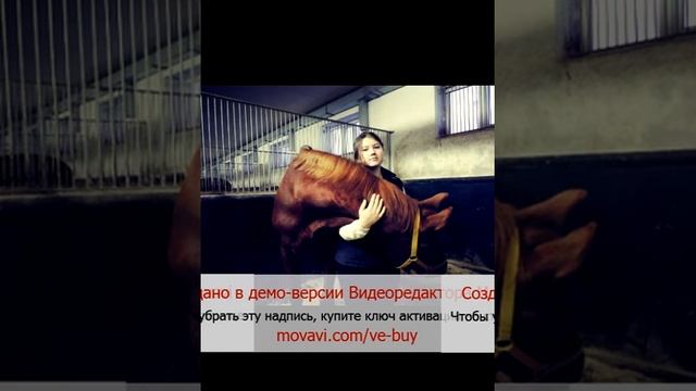1год обучения верховой езды смотреть онлайн