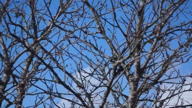 wind смотреть онлайн