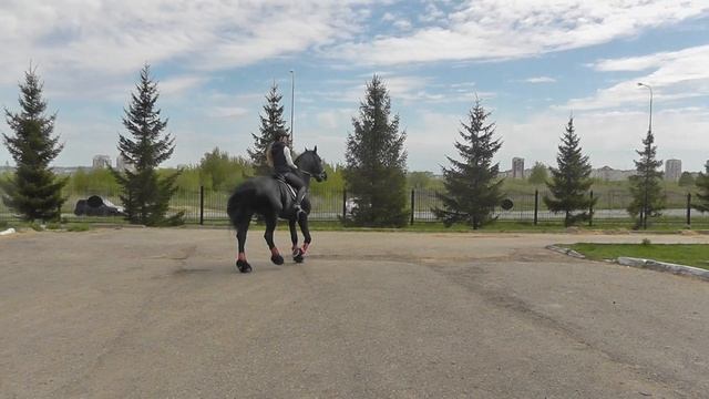 19.05.2017 В Казанском конно-спортивном комплексе 06324 смотреть онлайн