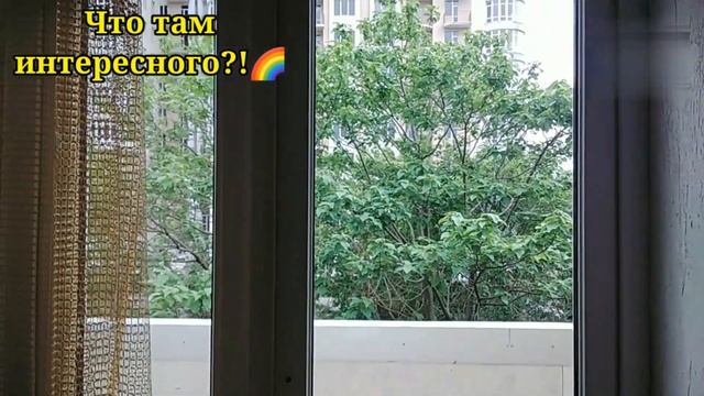 Платон 🌈