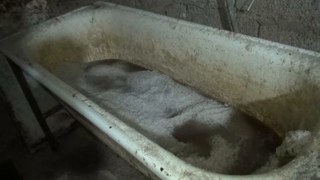 Силовики накрыли подпольный рыбный цех смотреть онлайн