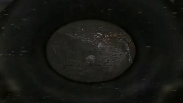 S.T.A.L.K.E.R.Misery + Gunslinger смотреть онлайн