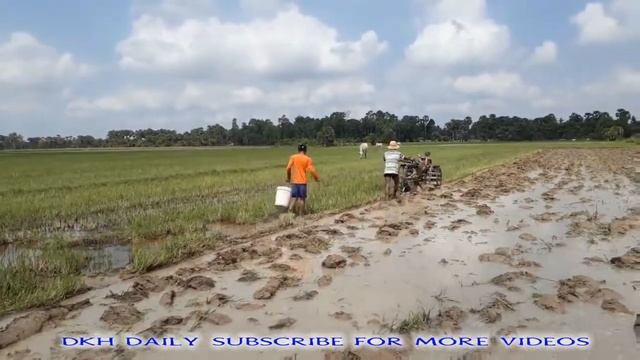 Wow !Catch Fishing on Rice Fields at Prey Veng Province Cambodia смотреть онлайн