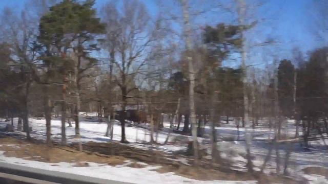 trip from Koriandergrand to Ranhammarsvagen смотреть онлайн