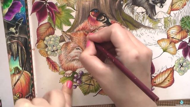Speedcoloring 'Menuet De Bonheur' Fall Wreath / Раскраска-антистресс