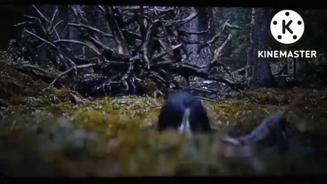 Prey  // Prey The Predator 2022  Movie  // Pray Hindi Dubbed Movie #prey2022 #hollywoodmovies