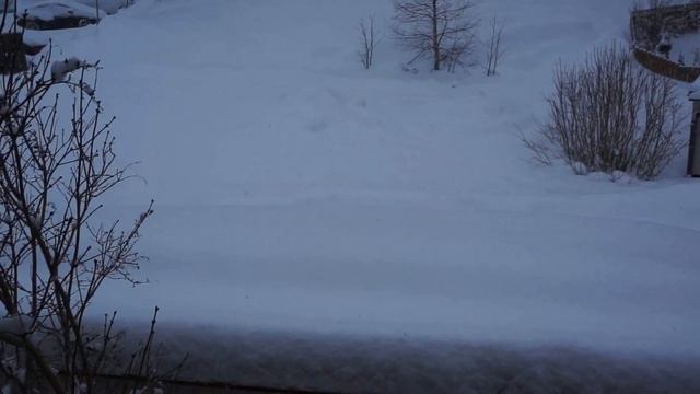 snow, vehicle and thrush смотреть онлайн