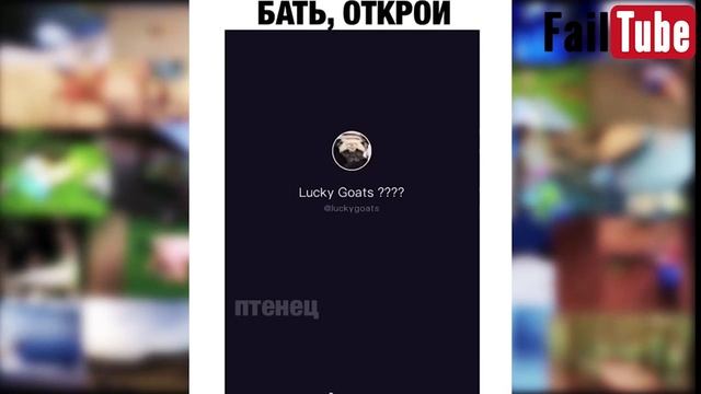 Приколы для взрослых. Лучшие приколы. Час Приколов. Смех. Юмор. смотреть онлайн