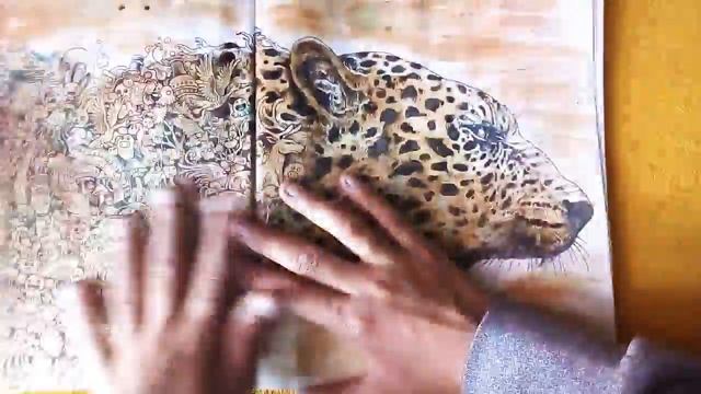 Быстренький обзор раскраски Аниморфозы смотреть онлайн