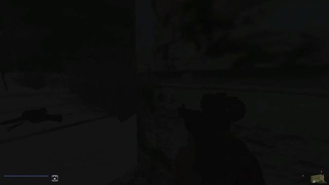 Hunting in lions den - STALKER ANOMALY winter смотреть онлайн