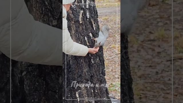 Природа и мы смотреть онлайн