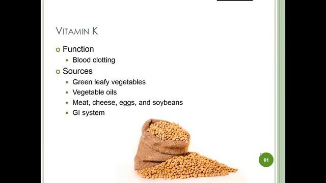 Basic Nutrition and Nutrition Education Part 3 1 смотреть онлайн