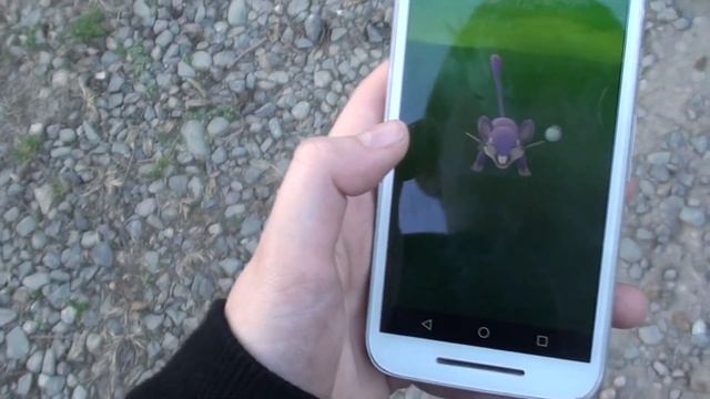 Busco Pokémons en LATINOAMÉRICA y No Pasa Nada... | Pokémon Go | Rulico смотреть онлайн