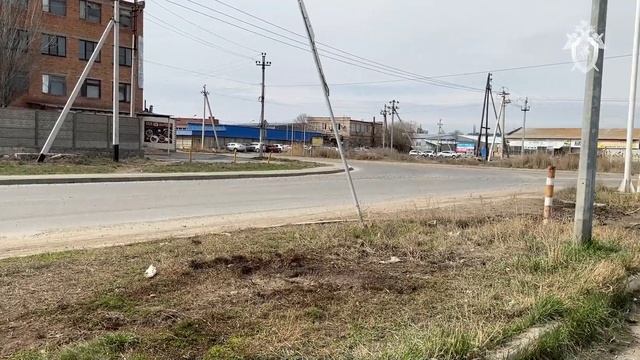 Бродячие псы заживо сожрали астраханку смотреть онлайн