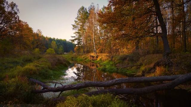 Рождения нет [Роберт Адамс озв. Nikosho] смотреть онлайн