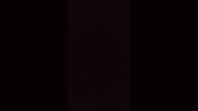 Musty shoreline mafia audio смотреть онлайн