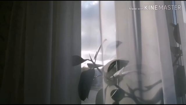 День третий|10 дней продуктивности со мной|productivity|motivation|study with me |#study3 смотреть онлайн