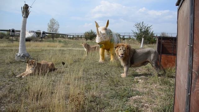 В гости к Олежке пришла белоснежная красотка Герда ! смотреть онлайн
