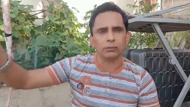 world mafia health and education is quack part88 смотреть онлайн