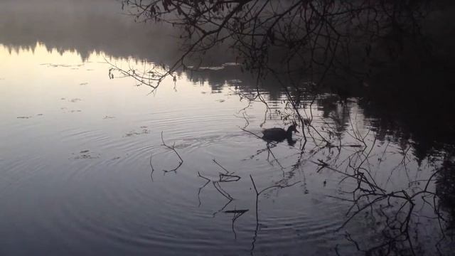-1. first one. the fog drake 2 смотреть онлайн