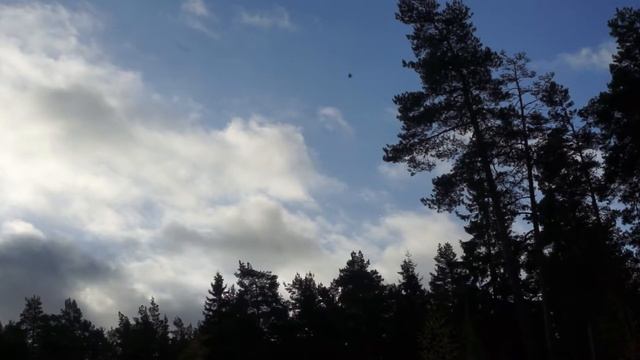 Breath of St. Jude смотреть онлайн