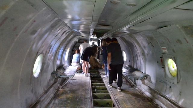 Фото со львом Олежкой хотят все !!! смотреть онлайн